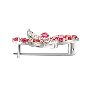 Brooches