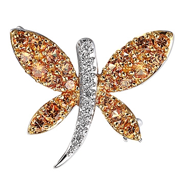 Brooches
